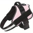 Paw&Nest™ Comfort-Control Harness