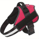 Paw&Nest™ Comfort-Control Harness