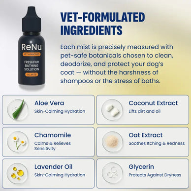 Transform Bath Time into Bonding Moments