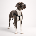 Paw&Nest™ RedirectPro Harness