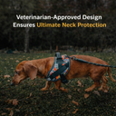 Paw&Nest™ Comfort-Control  Harness
