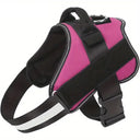 Paw&Nest™ Comfort-Control  Harness