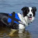 Paw&Nest™ Comfort-Control  Harness