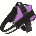 Paw&Nest™ Comfort-Control  Harness