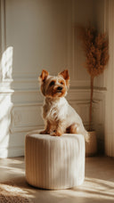 <p></p><p></p><p>Designed for your pet. Made for your home.</p>
