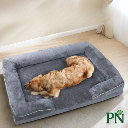 Paw & Nest™ Orthopaedic Memory Foam Dog Bed