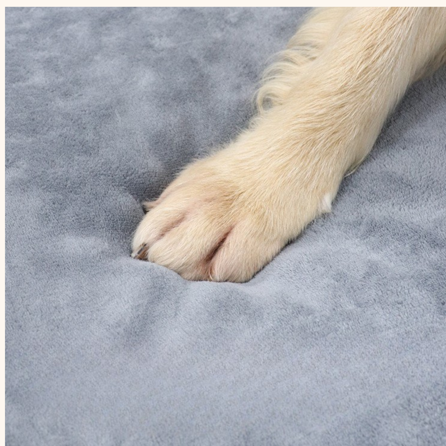 Paw & Nest™ Orthopaedic Memory Foam Dog Bed